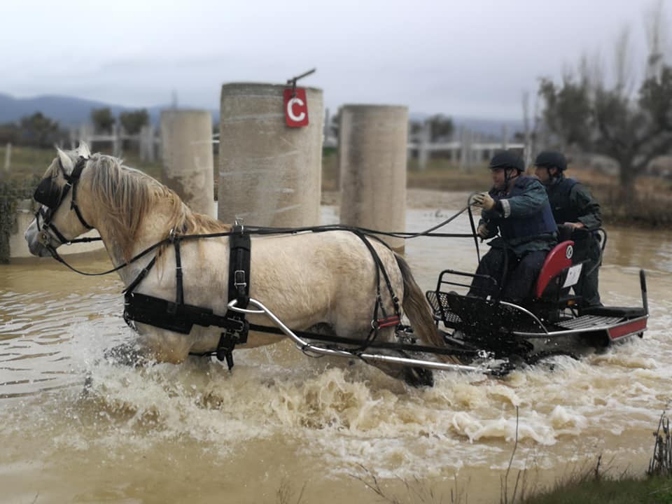 Resultados 1ª Fase del Campeonato Navarro de Enganches 2018 en el Club Deportivo Enganches Finca "La Pinturita"